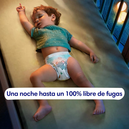 Dodot Pañales Bebé-Seco, Talla 4 (9-14 kg), 256 Pañales + Regalo de 1 Pack de 10 Toallitas Aqua Pure 99% Agua, Una Noche Hasta Un 100% Libre De Fugas, Pack mensual