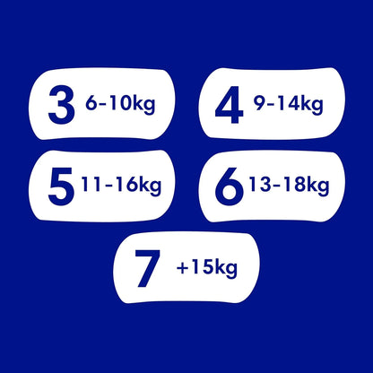 Dodot Pañales Bebé-Seco, Talla 5 (11-16 kg), 174 Pañales + Regalo de 1 Pack de 10 Toallitas Aqua Pure 99% Agua,Una Noche Hasta Un 100% Libre De Fugas, Pack mensual